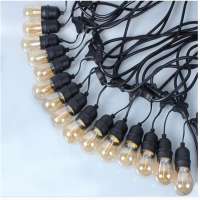 AT-CDX-FS049 Poland CE ROHS IP65 PVC 2x1.0MM2x20m Black high Voltage 39PCSxE27 light bulb string lights cable